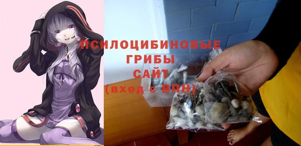 ECSTASY Кодинск