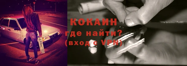 сатива Корсаков