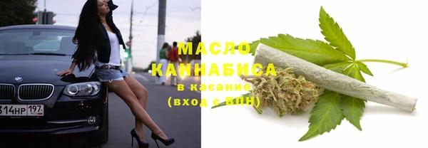 сатива Корсаков