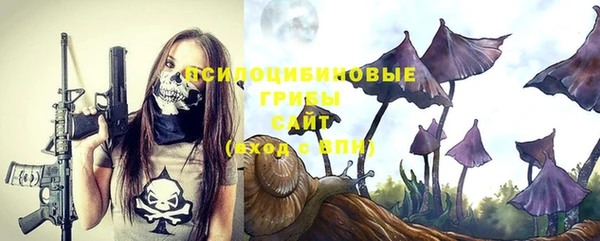 дживик Костерёво