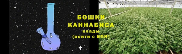 ECSTASY Кодинск